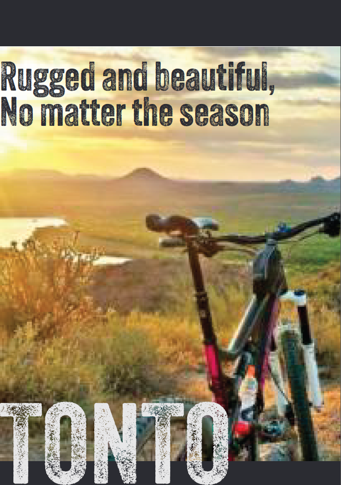 Highlight 4 poster image 2